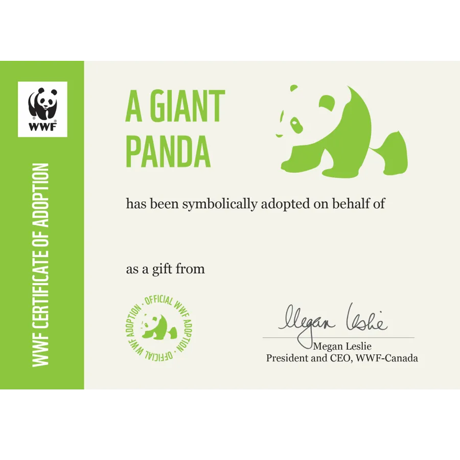 Giant panda